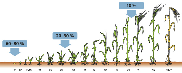 Obr. 1: Možnosti aplikace dus&iacute;ku v&nbsp;průběhu vegetace