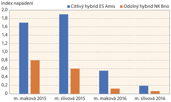 Graf 1: Porovn&aacute;n&iacute; indexu napaden&iacute; m&scaron;ic&iacute; makovou a&nbsp;m&scaron;ic&iacute; sl&iacute;vovou u&nbsp;citliv&eacute;ho a&nbsp;odoln&eacute;ho hybridu slunečnice v&nbsp;letech 2015 a&nbsp;2016