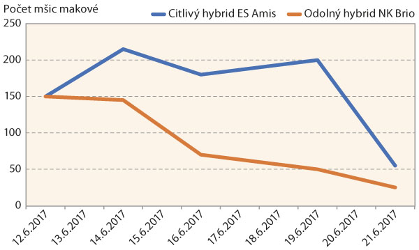 Graf 2: V&yacute;voj početnosti m&scaron;ice makov&eacute; na citliv&eacute;m a&nbsp;odoln&eacute;m hybridu slunečnice v&nbsp;roce 2017