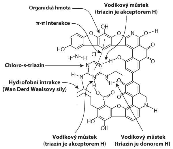 Sch&eacute;ma 3: Vazby chloro-s-triazinu na humifikovanou organickou hmotu (Laird a&nbsp;Koskinen, 2008)