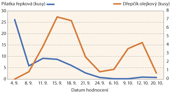 Graf 1: Průměrn&aacute; početnost pilatky řepkov&eacute; a&nbsp;dřepč&iacute;ka olejkov&eacute;ho na jednu žlutou misku (Troubsko, 2020)