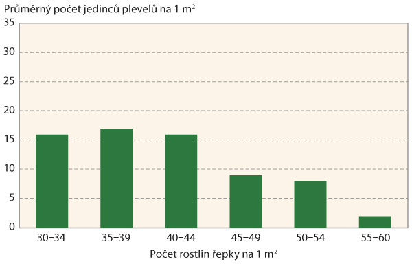  Graf 4: Průměrn&yacute; počet pen&iacute;zku roln&iacute;ho v&nbsp;z&aacute;vislosti na hustotě porostů řepky