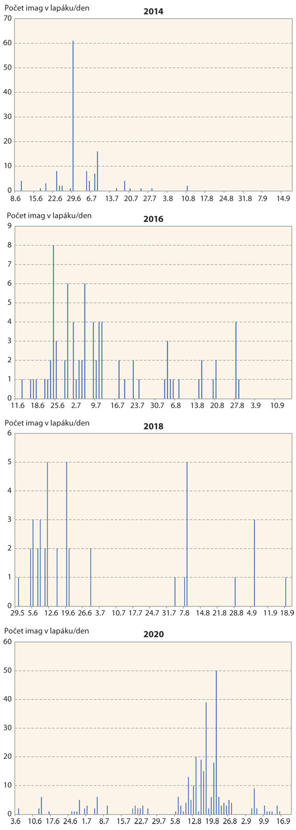 Graf: N&aacute;lety imag zav&iacute;ječe kukuřičn&eacute;ho do světeln&eacute;ho lapače v&nbsp;Oblekovic&iacute;ch v&nbsp;letech 2014&ndash;2020 (zdroj &Uacute;KZ&Uacute;Z)	