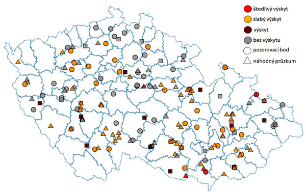 Mapa: Zobrazen&iacute; intenzity v&yacute;skytu zav&iacute;ječe kukuřičn&eacute;ho v&nbsp;jednotliv&yacute;ch okresech ČR v&nbsp;roce 2020 (slab&yacute; v&yacute;skyt = m&eacute;ně než 20 % po&scaron;kozen&iacute;, &scaron;kodliv&yacute; v&yacute;skyt = v&iacute;ce než 20 % po&scaron;kozen&iacute;), pozorovac&iacute; bod = lokalita, na kter&eacute; se prov&aacute;d&iacute; pravideln&yacute; monitoring v&yacute;skytu &scaron;kodliv&eacute;ho organizmu v&nbsp;aktu&aacute;ln&iacute; plodině, n&aacute;hodn&yacute; průzkum = z&aacute;znam v&yacute;skytu &scaron;kodliv&eacute;ho organizmu kdekoli mimo pozorovac&iacute; bod podle moment&aacute;ln&iacute; situace (zdroj rostlinol&eacute;kařsk&yacute; port&aacute;l)