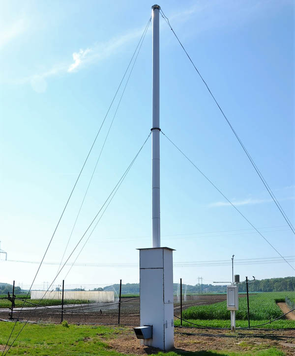 Obr. 1: Sac&iacute; past