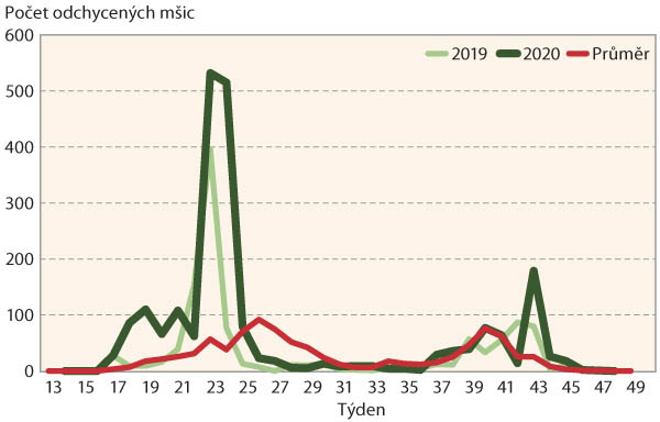 Graf 1: Migrace m&scaron;ice makov&eacute;
