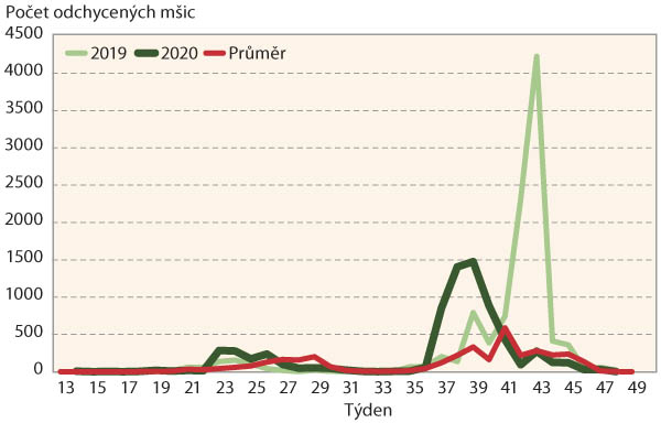 Graf 2: Migrace m&scaron;ice broskvoňov&eacute;