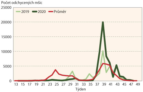 Graf 3: Migrace m&scaron;ice střemchov&eacute;