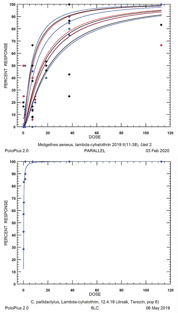 Graf 3: Na ose X je d&aacute;vka pyretroidu lambda-cyhalothrin v&nbsp;g/ha (registrovan&aacute; d&aacute;vka = 7,5 g/ha). Na ose Y je mortalita (%) vyvolan&aacute; určitou d&aacute;vkou. Srovnejte rozd&iacute;l mezi d&aacute;vkou (osa X) potřebnou na dosažen&iacute; např. 90% mortality u&nbsp;krytonosce čtyřzub&eacute;ho (vlevo) a&nbsp;různ&yacute;ch česk&yacute;ch populac&iacute; bl&yacute;sk&aacute;čka řepkov&eacute;ho (vpravo).
