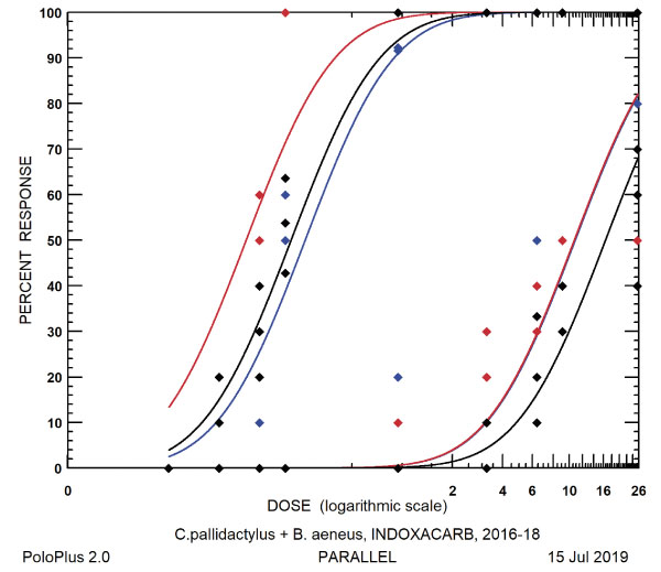 Graf 4: Zde jsou vidět zcela rozd&iacute;ln&eacute; reakce krytonosce čtyřzub&eacute;ho (křivky vpravo) a&nbsp;bl&yacute;sk&aacute;čka řepkov&eacute;ho (křivky vlevo) na indoxacarb (Avaunt). Je to vlastně zcela opačn&aacute; situace než v&nbsp;př&iacute;padě pyretroidů. K&nbsp;dosažen&iacute; vysok&eacute; mortality (osa Y) je v&nbsp;př&iacute;padě bl&yacute;sk&aacute;čků potřeba mnohem niž&scaron;&iacute; d&aacute;vka (osa X) než v&nbsp;př&iacute;padě krytonosců.