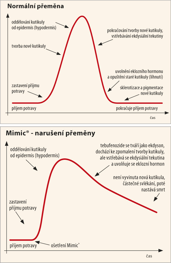 Graf 2: Ovlivnění metamorfózy hmyzu Graf 2: Ovlivnění metamorfózy hmyzu