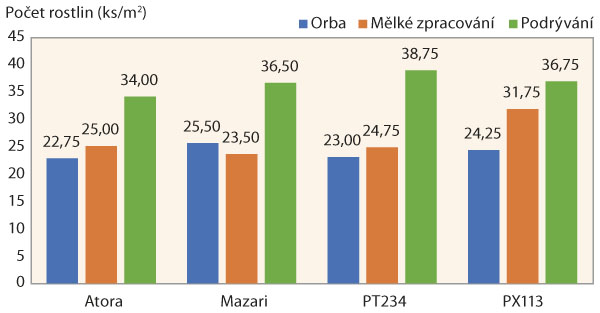 Graf 2: Vliv zpracov&aacute;n&iacute; půdy na počet rostlin na 1 m2 v&nbsp;roce 2019