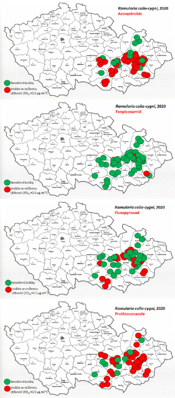 Mapy citlivosti k fungicidům u populací Ramularia collo-cygni v roce 2020 Mapy citlivosti k fungicidům u populací Ramularia collo-cygni v roce 2020
