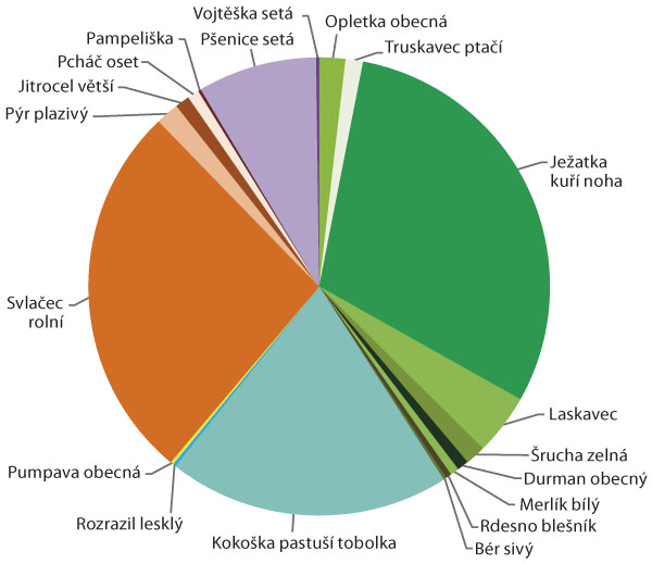 Graf 4: Druhov&eacute; spektrum plevelů v&nbsp;kukuřici při př&iacute;m&eacute;m set&iacute; bez zpracov&aacute;n&iacute; půdy