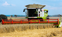 Sklizeň a skladování Sklizeň a skladování