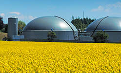 Výživa a stimulace Výživa a stimulace