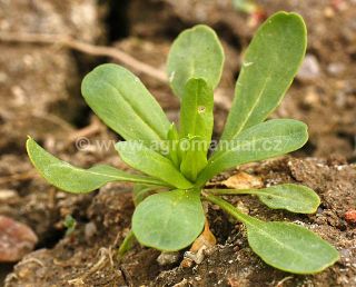 Pen&iacute;zek roln&iacute;