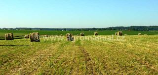 ilustračn&iacute; foto