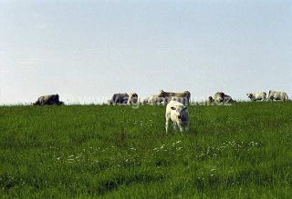 Ilustračn&iacute; foto