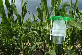 Pro zji&scaron;těn&iacute; v&yacute;skytu se použ&iacute;vaj&iacute; lapače