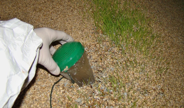 Použit&iacute; lapače pro monitoring &scaron;kůdců v&nbsp;obil&iacute;