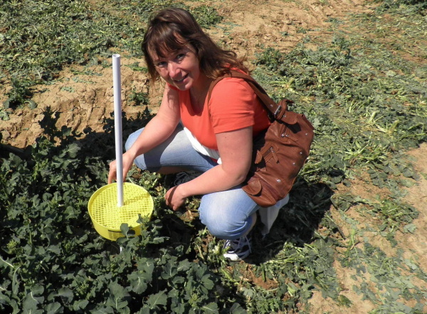 M&ouml;rickeho misky kontrolujeme každ&yacute; třet&iacute; den