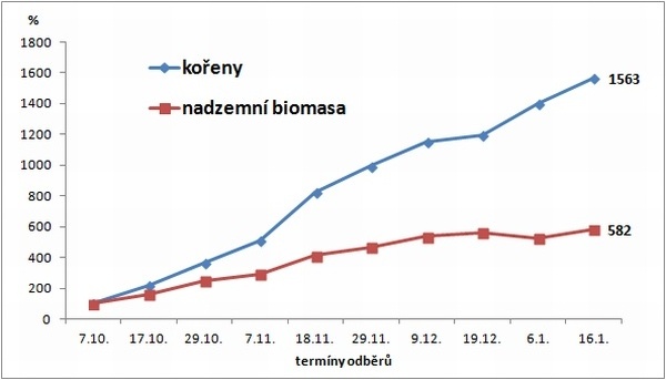 Graf 1: Dynamika růstu řepky ozim&eacute; na podzim 2013, (100 % = 1. odběr - 7. 10. 2013, 100 % = kořeny - 2,5 g/10 rostlin, listy - 25,8 g/10 rostlin)