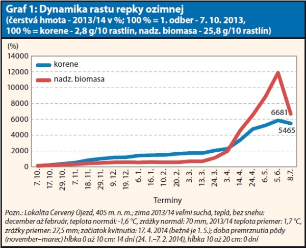  Graf 1: Dynamika rastu repky ozimnej (čerstv&aacute; hmota - 2013/14 v&nbsp;%; 100 % = 1. odber - 7. 10. 2013, 100 % = korene - 2,8 g/10 rastl&iacute;n, nadz. biomasa - 25,8 g/10 rastl&iacute;n)