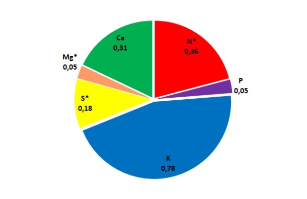 Graf 2: Průměrn&yacute; obsah jednotliv&yacute;ch živin ve sl&aacute;mě ozim&eacute; p&scaron;enice (%) - * zastoupen&iacute; živin ve sl&aacute;mě je ovlivněno obsahem živin na stanovi&scaron;ti