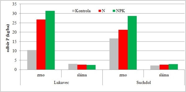 Graf 3: Vliv stanovi&scaron;tě a&nbsp;hnojen&iacute; na odběr fosforu (kg/ha) zrnem a&nbsp;sl&aacute;mou ozim&eacute; p&scaron;enice 