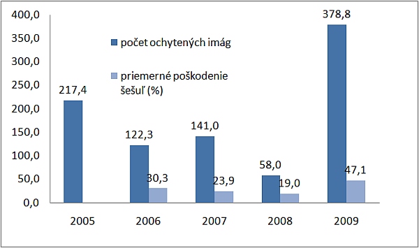 Graf 2: Priemern&yacute; počet odchyten&yacute;ch im&aacute;g a&nbsp;priemern&eacute; po&scaron;kodenie &scaron;e&scaron;&uacute;ľ (2005&ndash;2009), v&nbsp;roku 2005 nebolo hodneten&eacute; % napadnutia &scaron;e&scaron;uľ byľomorom
