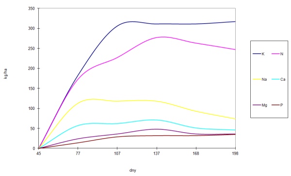 Graf 1: Čerp&aacute;n&iacute; živin cukrovkou v&nbsp;průběhu vegetace