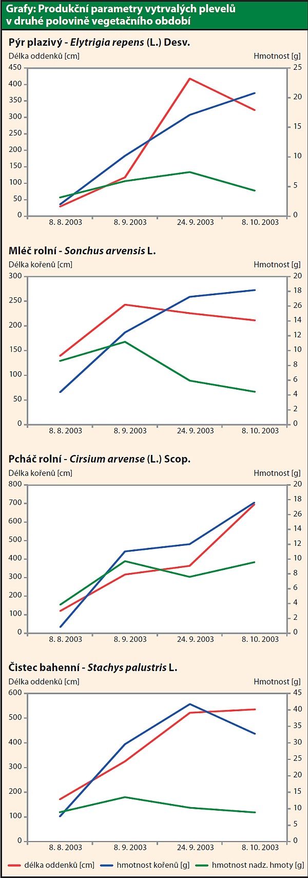 Grafy: Produkční parametry vytrvalých plevelů v druhé polovině vegetačního období