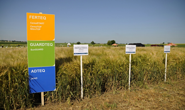 Porosty ošetřené přípravky Soufflet agro na Velkém polním dni