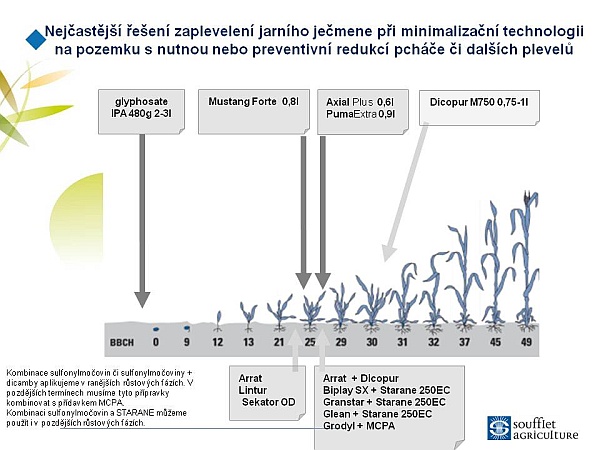 Nejčastěj&scaron;&iacute; ře&scaron;en&iacute; zaplevelen&iacute; jarn&iacute;ho ječmene při minimalizačn&iacute; technologii na pozemku s&nbsp;nutnou nebo preventivn&iacute; redukc&iacute; pch&aacute;če či dal&scaron;&iacute;ch plevelů