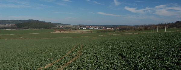 řepka olejka podzim