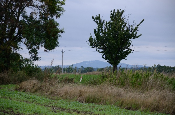  Obr. 1: Neudržiavan&yacute; okraj pola