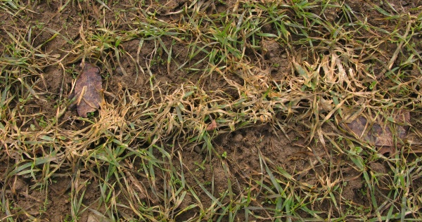 Napaden&iacute; pl&iacute;sn&iacute; sněžnou je podm&iacute;něno průběhem počas&iacute;