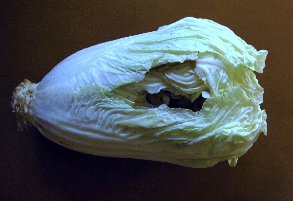 Př&iacute;znaky nedostatku Ca u&nbsp;č&iacute;nsk&eacute;ho zel&iacute;